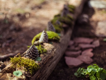 2015-04_Albarracin-10