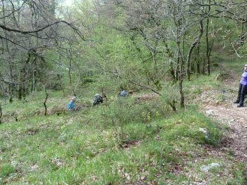 P1200440