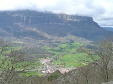 P1200445