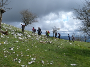 P1200461