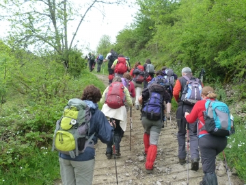 P1200947