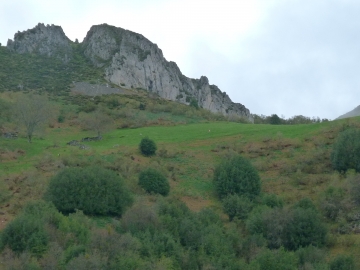 P1200991