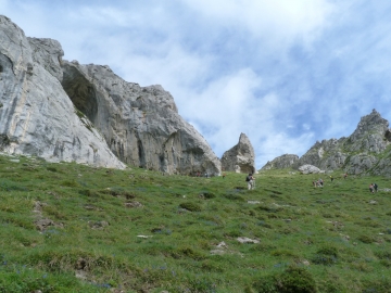 P1210134