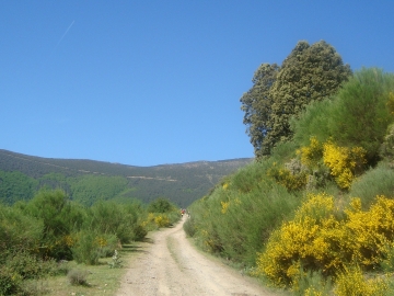 DSC05523