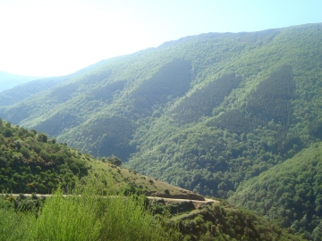 DSC05524