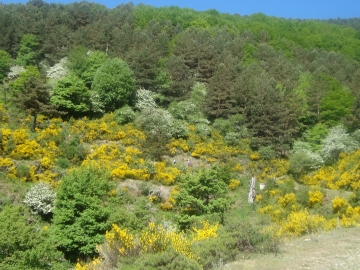 DSC05525