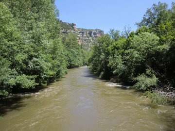 CIMG1540