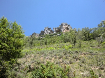 CIMG1544