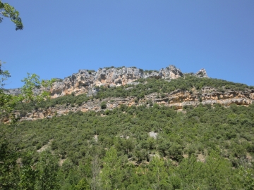 CIMG1545