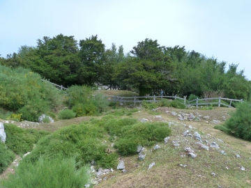P1240130