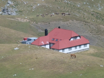 P1240299