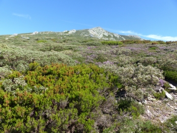 P1000807