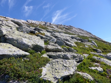 P1000819