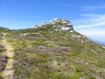 P1000834
