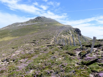 P1000837