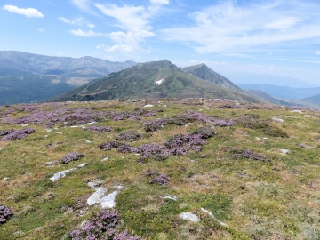 P1000851