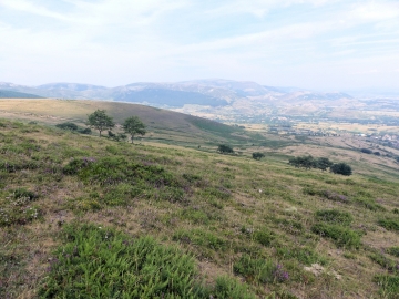 P1000860