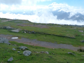 P1250010