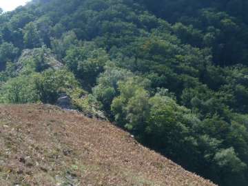 P1250101