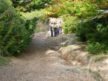 P1250255