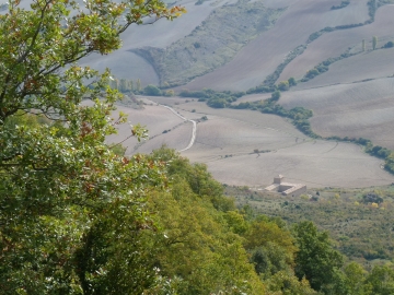 P1250262
