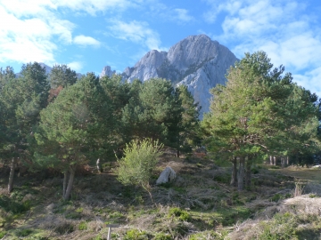 P1250360