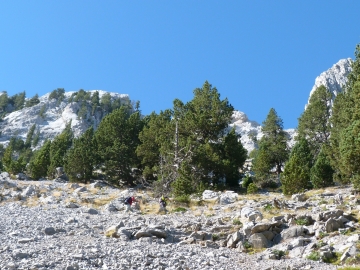 P1250380