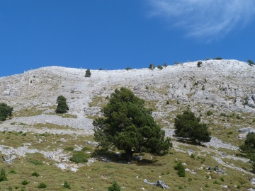 P1250416