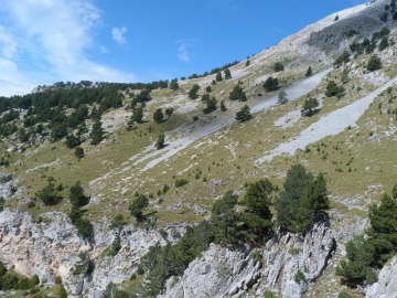 P1250430