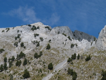 P1250435