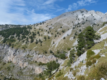 P1250443