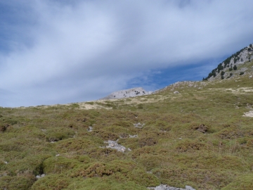 P1250455