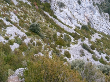 P1250468