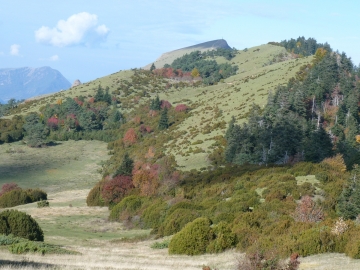 P1250503