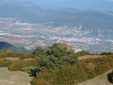 P1250508