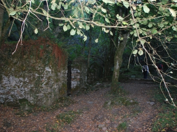 P1250878