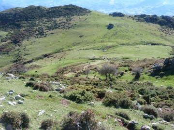 P1250909