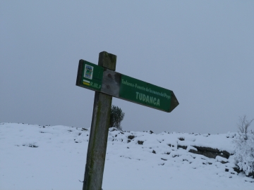 P1260254