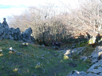 P1260580