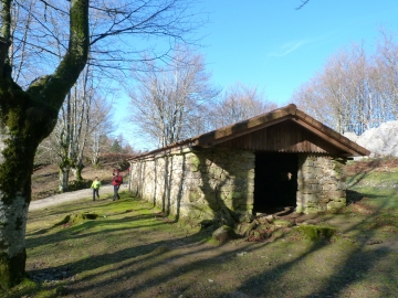 P1260596