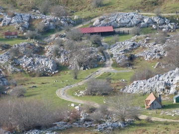 P1260796
