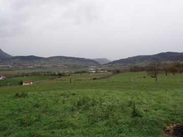 DSC00312