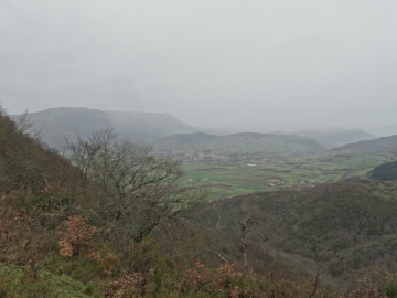 DSC00316