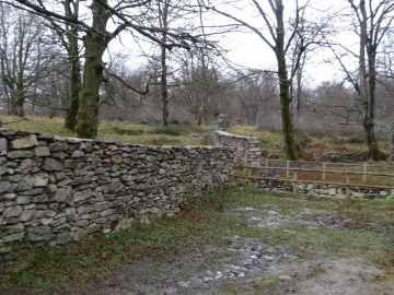 DSC00354