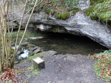 DSC00376