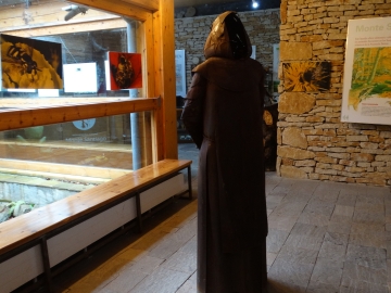 DSC00384