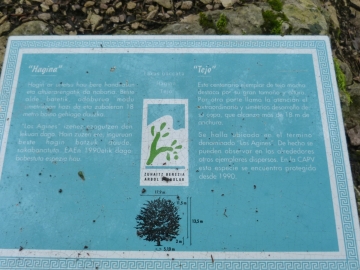 P1260975