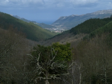 P1270224