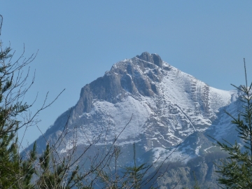 P1270294