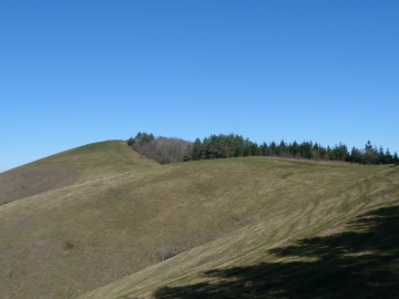 P1270296